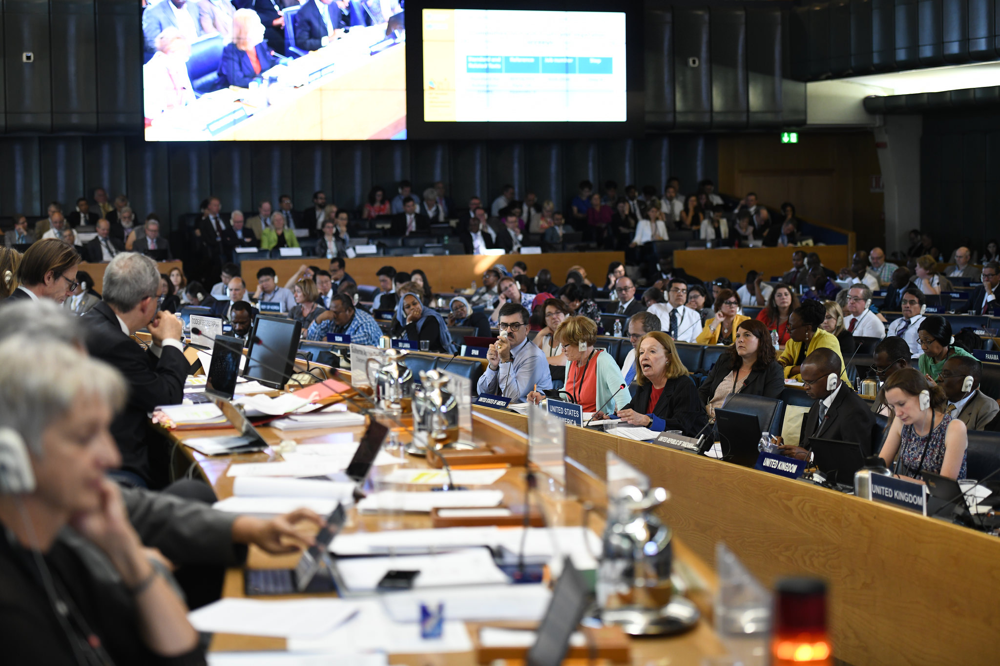 Input invited from Members and Observers on Codex future plan