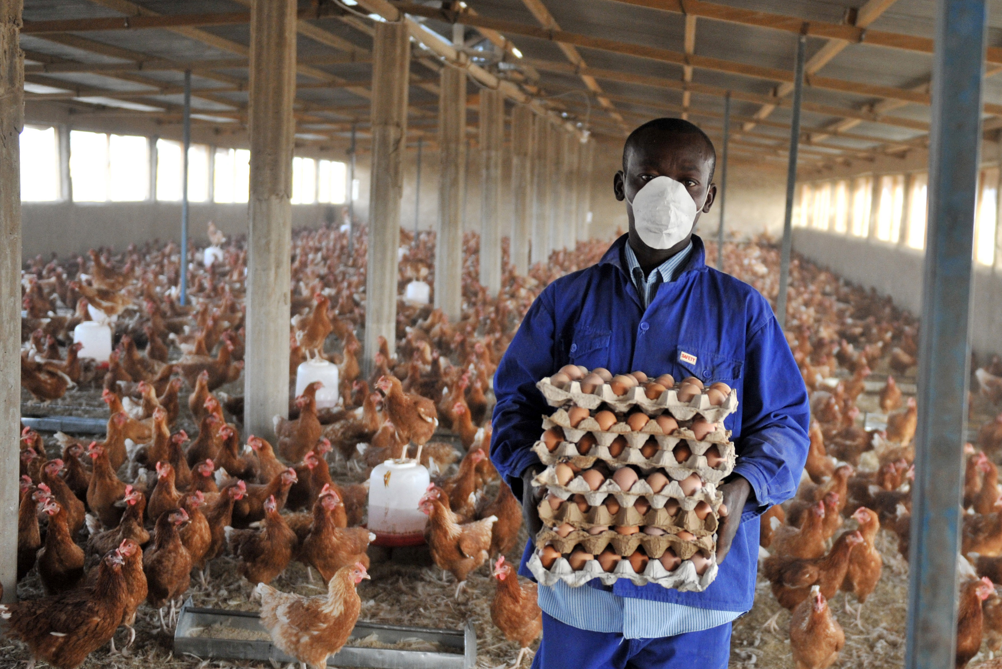 À l’Assemblée générale des Nations Unies, les dirigeants mondiaux s’engagent à lutter contre la résistance aux antimicrobiens