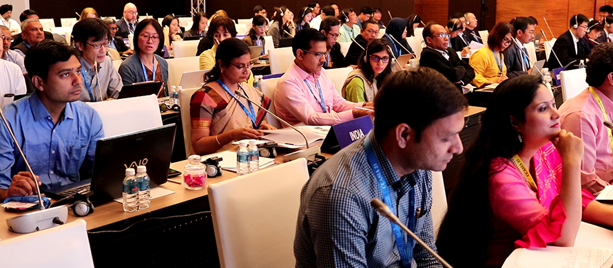 Surveys, Strategies and Standards. Productive session for CCASIA